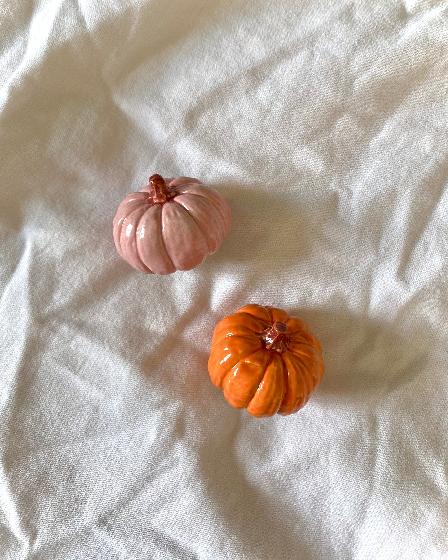 Citrouilles roses et oranges